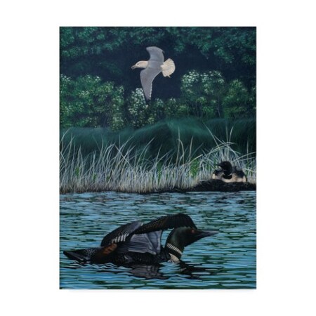 Trademark Fine Art Rusty Frentner 'Loon Threat' Canvas Art, 24x32 ALI33164-C2432GG